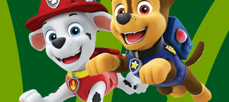 Paw Patrol Puppy Party