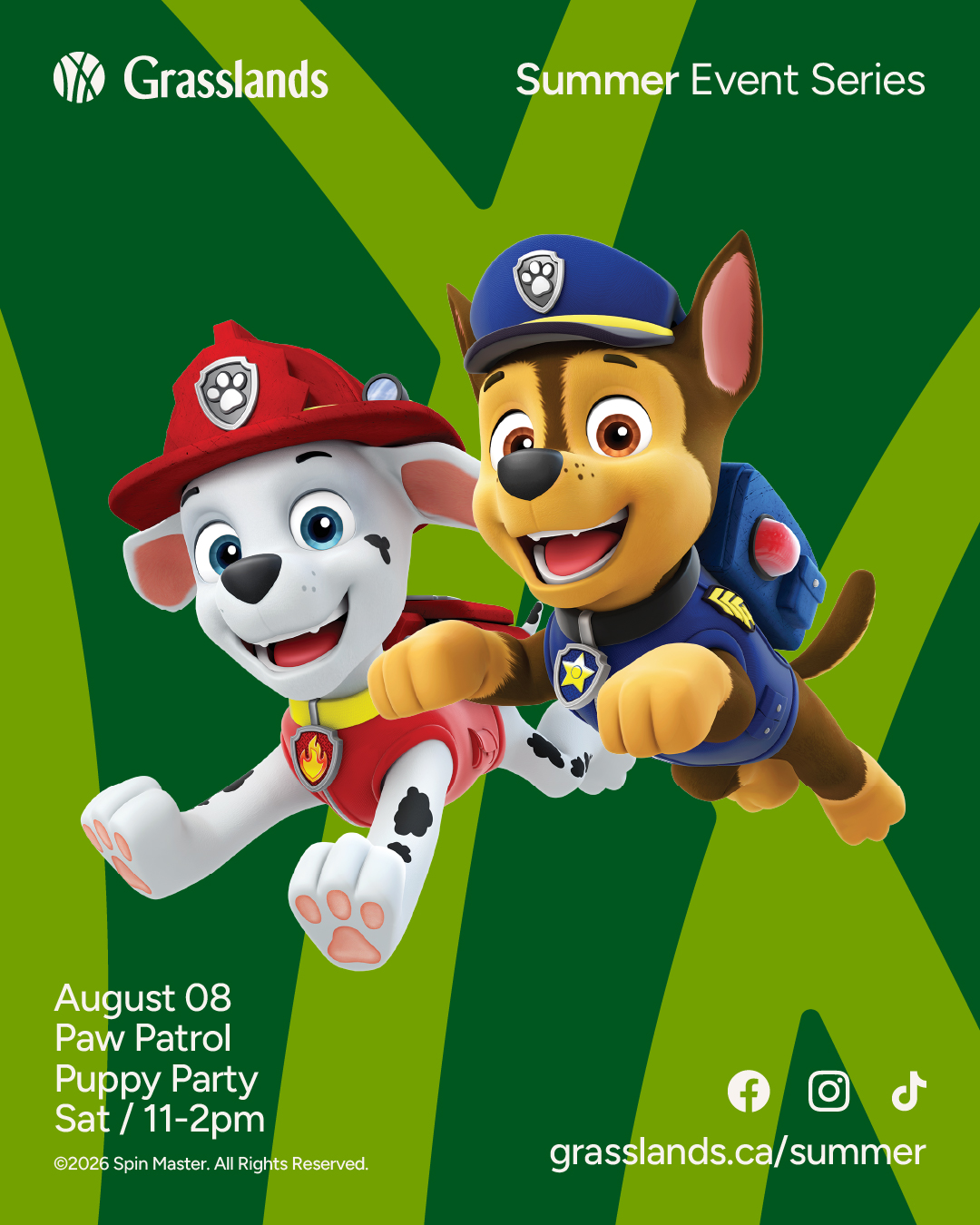 Paw Patrol Puppy Party