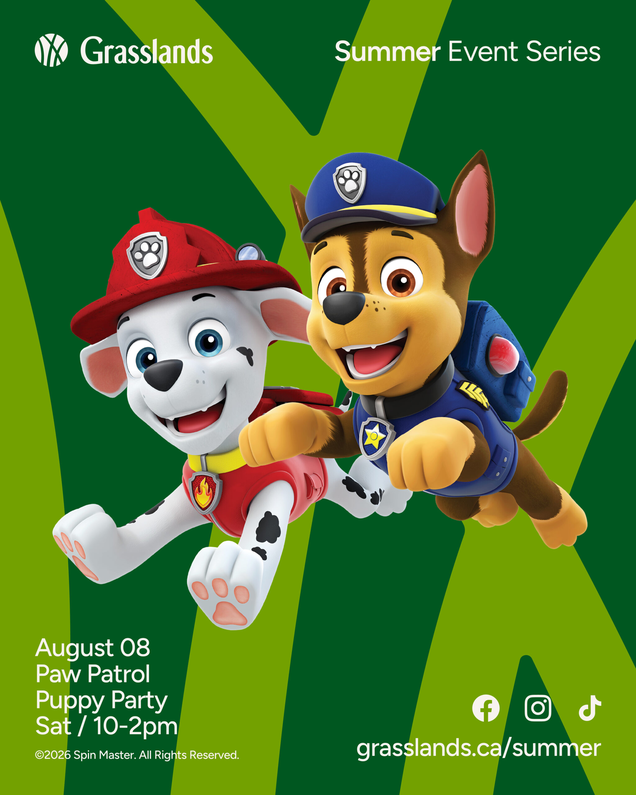 Paw Patrol Puppy Party