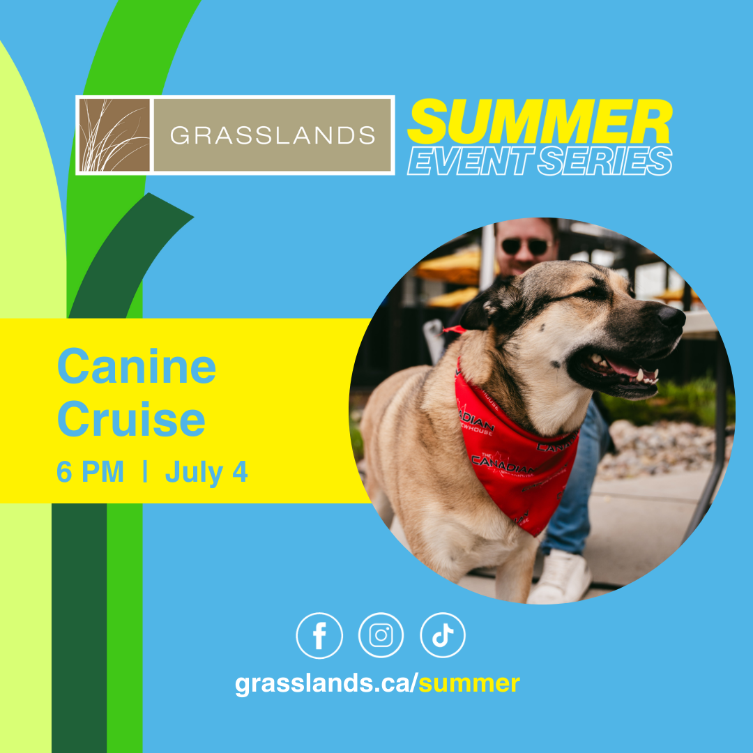 Event: Canine Cruise