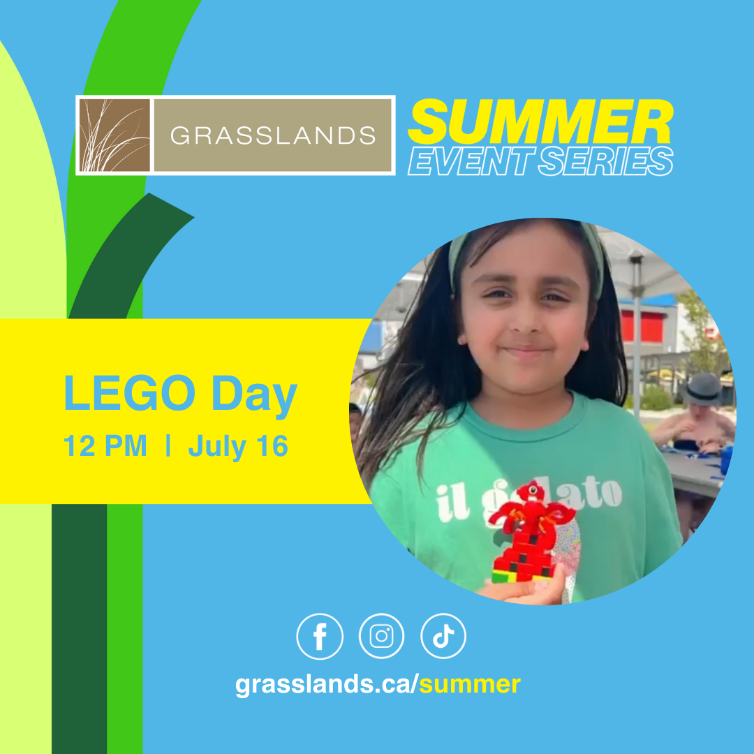 Event: LEGO Day