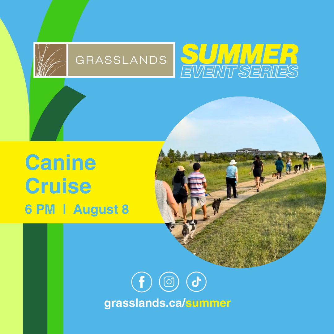 2024 Event: Canine Cruise