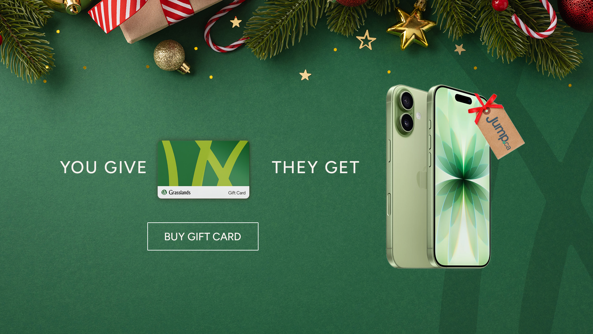 Get Black Friday at Grasslands