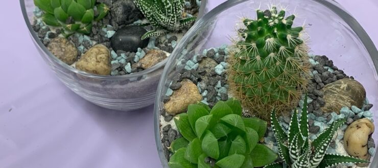 Plant Party
