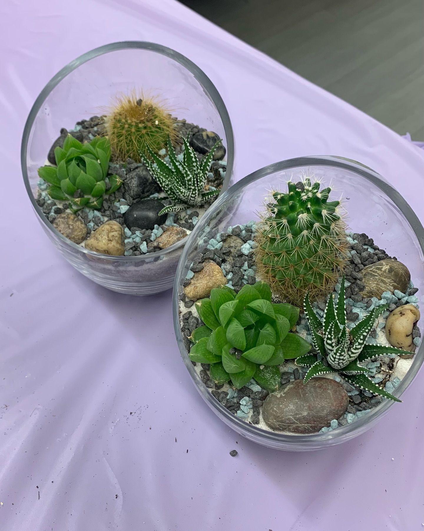 Plant Party