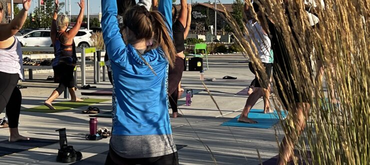 Yoga on The Landing
